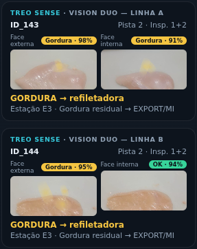 Painel do TREO Sense mostrando duas peças classificadas, cada uma com as imagens das faces externa e interna e o destino atribuído.